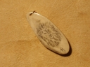Löwenkopf